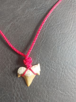 Pieza de Otodus Fósil Colgante Rojo