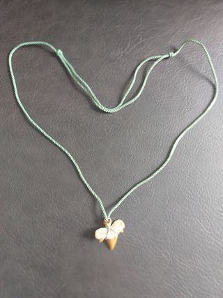 Colgante Verde clarito con Fosil de Otodus