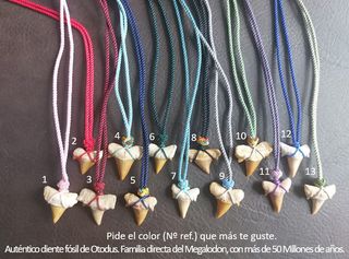 Colgante Verde clarito con Fosil de Otodus