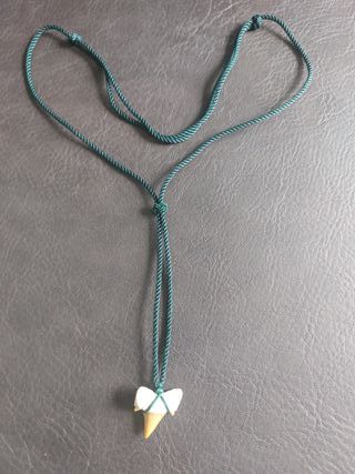 Colgante Autentico de Otodus Fósil Verde Oscuro