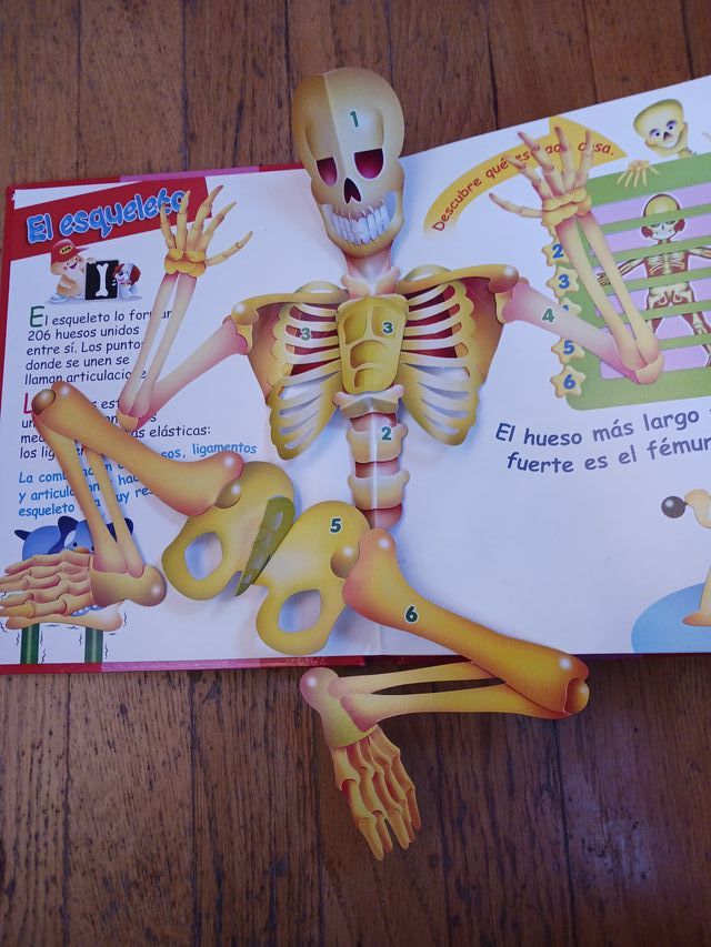 El cuerpo humano / The human body: Los sistemas...