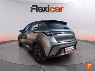 BYD Dolphin Design