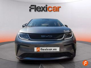 BYD Dolphin Design