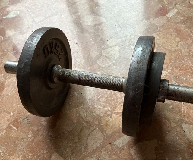 Pesa de gimnasio con discos