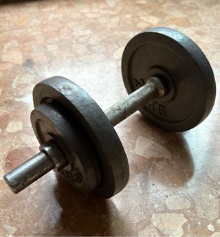Pesa de gimnasio con discos