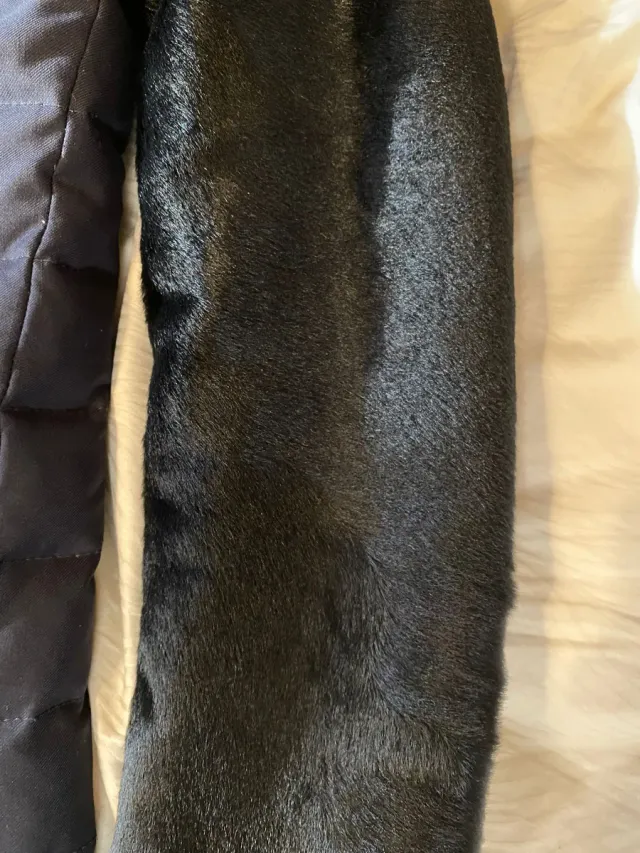 Piumino uomo Emporio Armani nero