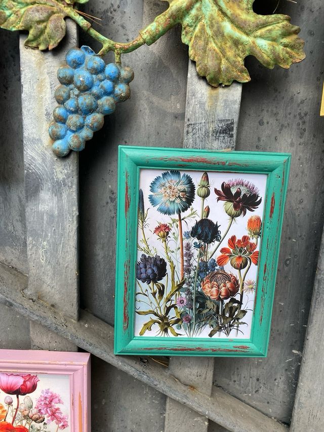 Cuadros vintage madera botánica y hongos