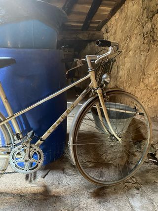 Bicicleta Torrot  se cambia por bici de monte