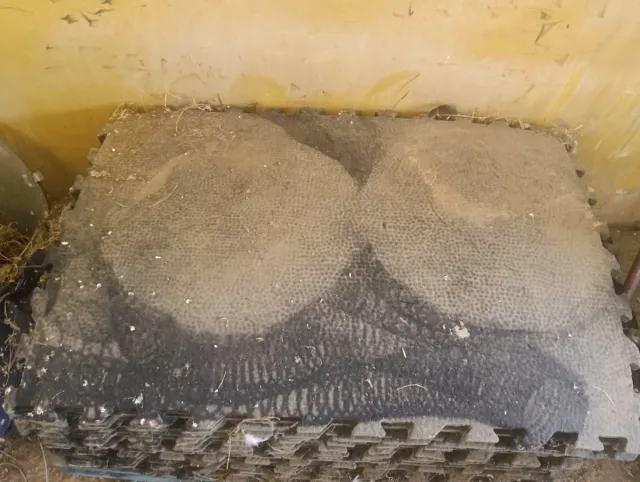 Gomas suelo para equinos