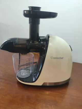 Licuadora de prensado en frío Amzchef