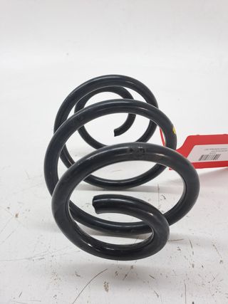 MUELLE AMORTIGUACION RENAULT TWINGO (2)