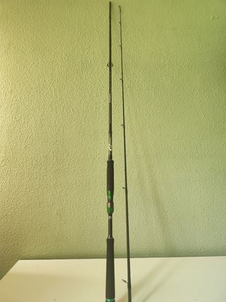Caña de pescar spinning Cinnetic ARMED Predator