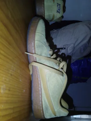 Zapatillas Nike Beige/Marrón