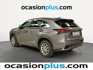 Lexus NX 300h Business 2WD 145 kW (197 CV)