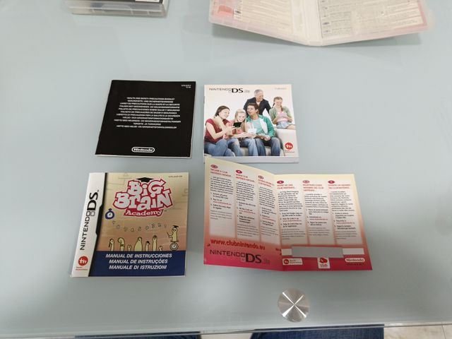 Lote Nintendo DS