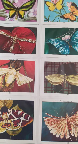 Álbum Cromos Antiguo Ciencias Naturales 1