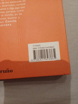 Andanzas de Don Quijote y Sancho (Spanish Edition)