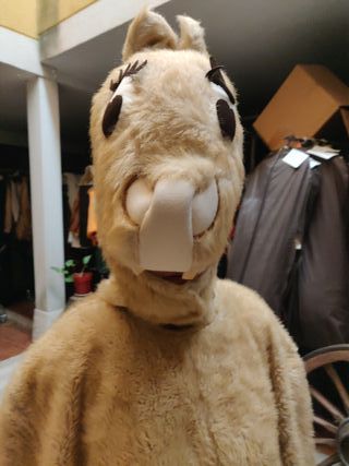 Disfraz Ardilla Adulto Talla Única