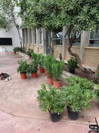 Jardinero Profesional