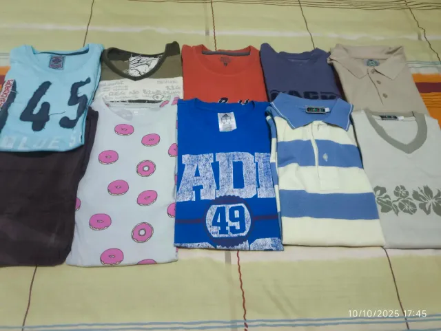 Lote 10 Camisetas Variadas.