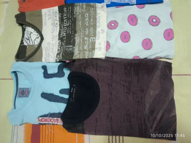 Lote 10 Camisetas Variadas.