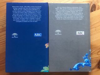 Lote libros Biblioteca AlSur