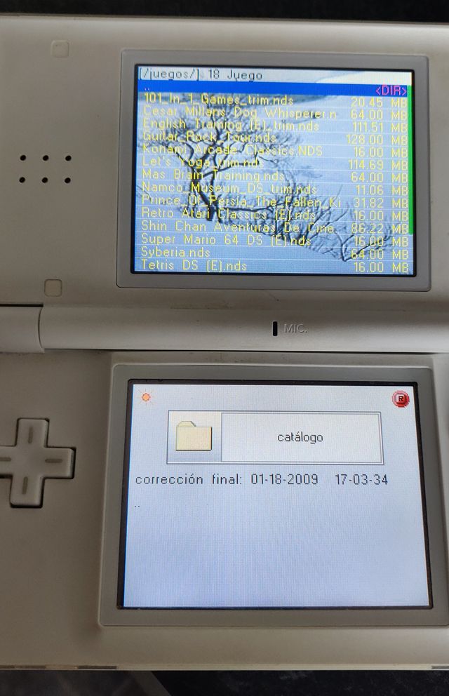 Nintendo DS Blanca con cargador