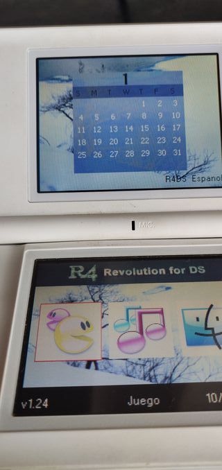 Nintendo DS Blanca con cargador