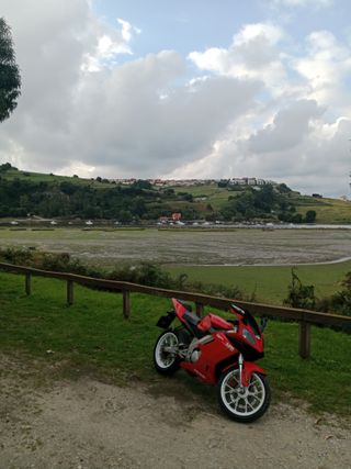 Derbi GPR 125cc 2T Roja