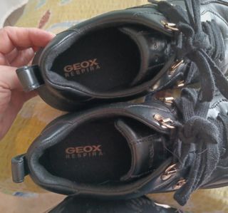 Sneakers  Geox
