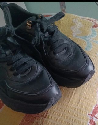 Sneakers  Geox