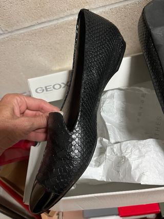 Zapatos Geox Piel Serpiente con punta metálica 