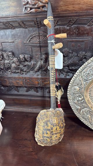 Instrumento musical con caparazón de tortuga