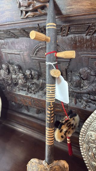 Instrumento musical con caparazón de tortuga