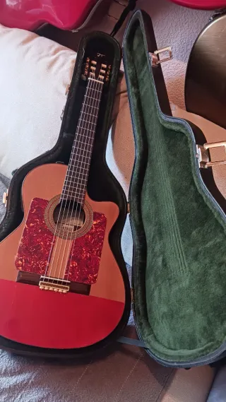 Guitarra Flamenca José Torres JTC-30CE
