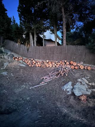 Leña de pino para chimenea