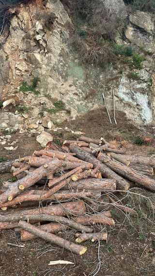 Leña de pino para chimenea