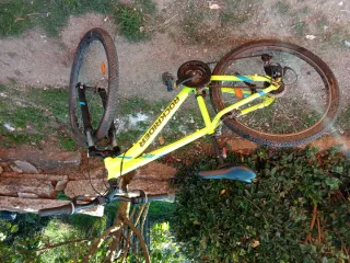 Bicicleta Rockrider Verde