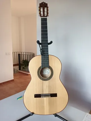 Guitarra Flamenca Paco Castillo