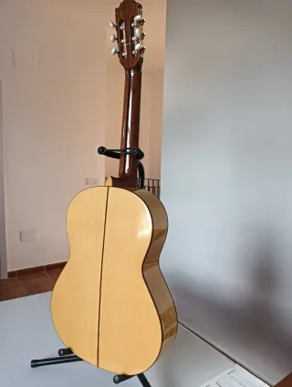 Guitarra Flamenca Paco Castillo
