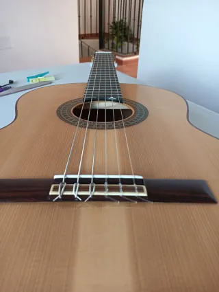 Guitarra Flamenca Paco Castillo