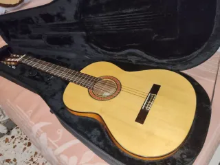 Guitarra Paco Castillo 213F