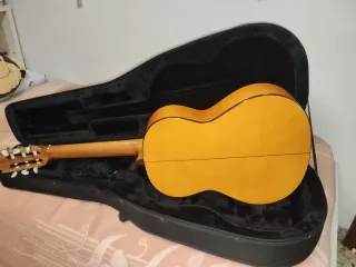 Guitarra Paco Castillo 213F