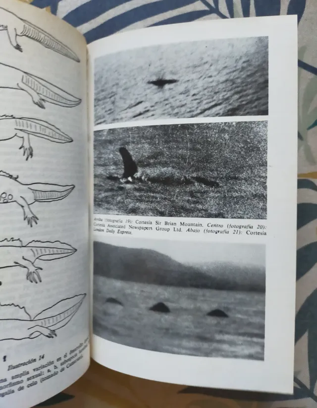 1*edición. El monstruo del lago Ness. Roy Mackal.