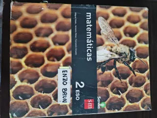 Matemáticas. 2 ESO. Savia