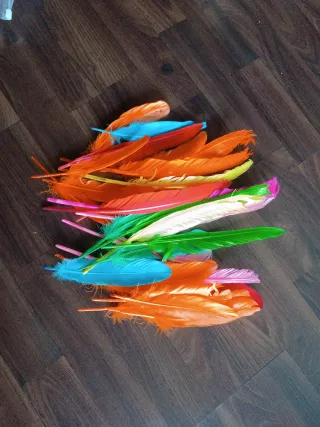 Plumas decorativas colores surtidos