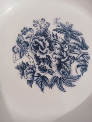 Plato hondo Arcopal Rivanel antiguo azul 29 cm