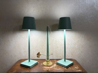 2 Lampade da tavolo verdi