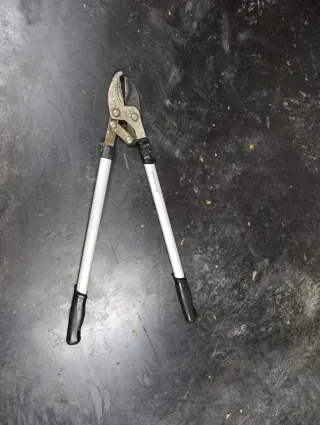 Tijeras podar ramas profesionales