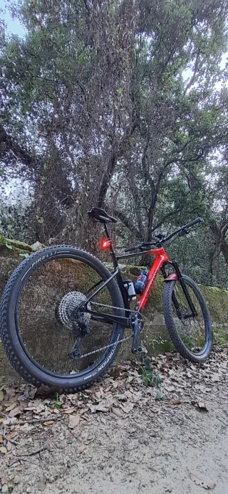 Cannondale Scalpel Carbon HT 4